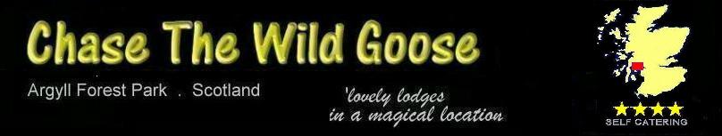 Pucks Glen Lodges & Rashfield Sheilings