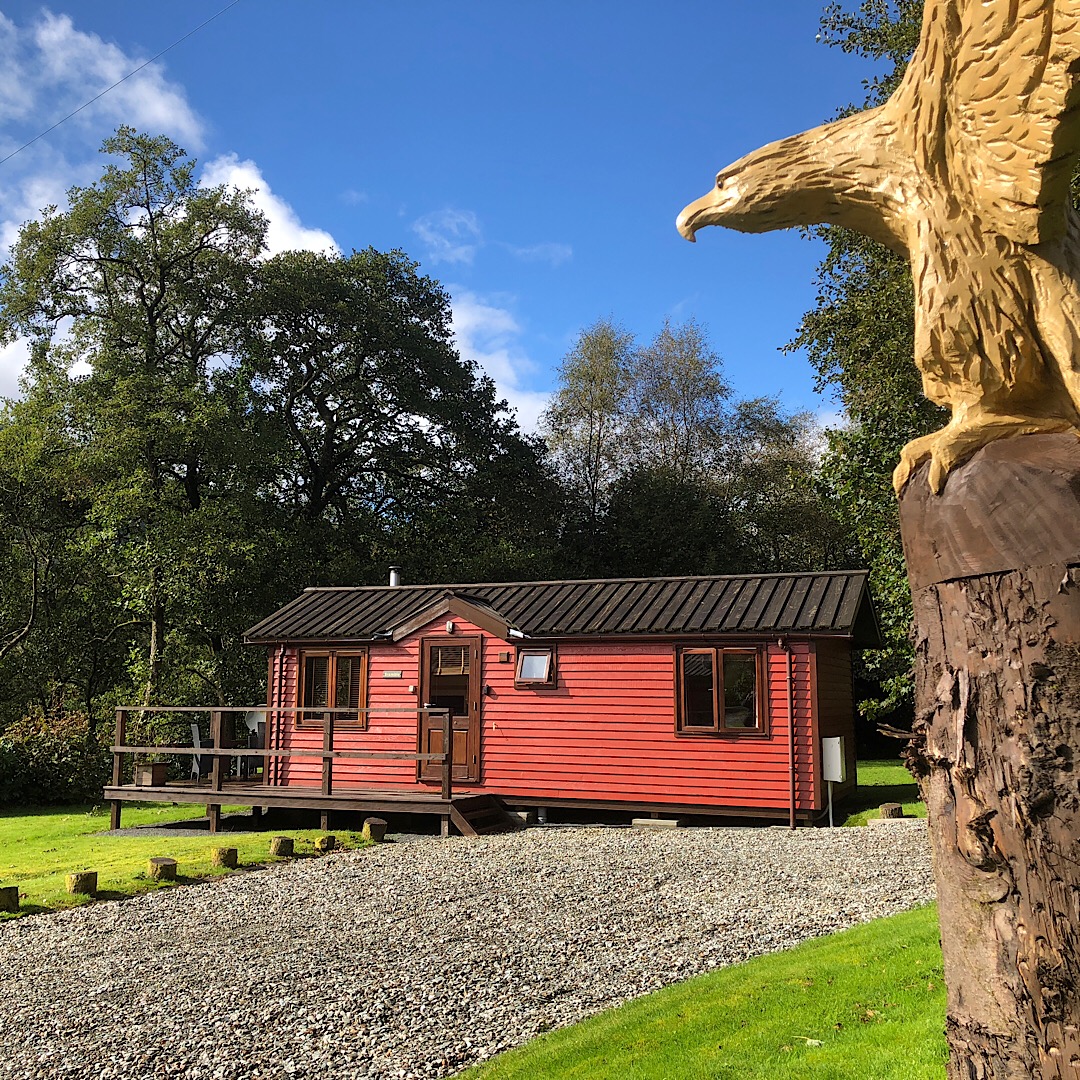 Rashfield Sheilings - Bramble