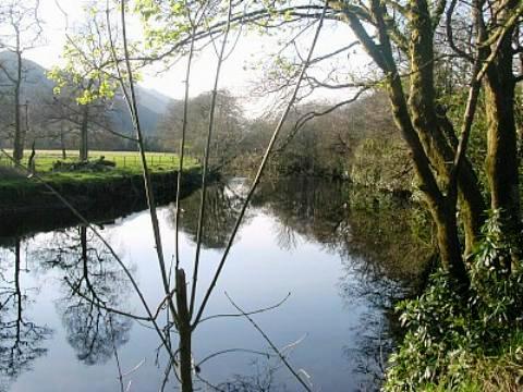 The Eachaig River of the Argyll Forest. Quiet? Peaceful? Alive...! Watch the Herons, glimpse a Kingfisher, join the fisherman... just a short walk from our holiday cottages